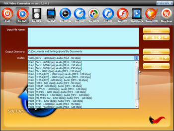 Fox Video Converter screenshot 4