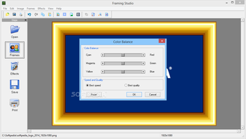 Framing Studio screenshot 10