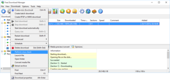 Free Download Manager Lite screenshot 10
