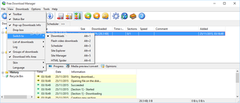Free Download Manager Lite screenshot 9