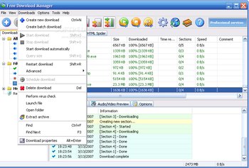 Free Download Manager nLite Addon screenshot 2
