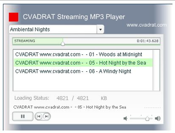 Free Flash Streaming MP3 Player screenshot 2