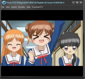 Free FLV Player screenshot 3