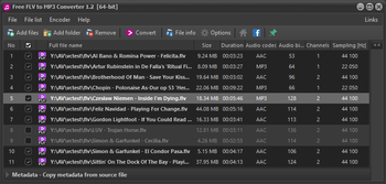 Free FLV to MP3 Converter screenshot 3