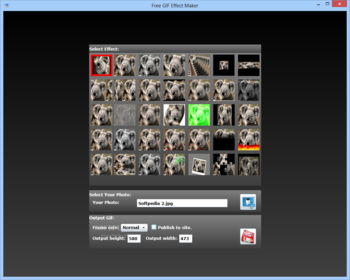 Free GIF Effect Maker screenshot