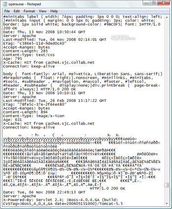 Free Internet Content Logger screenshot 4