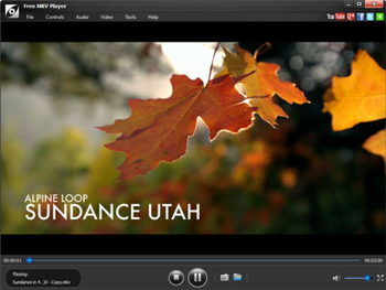 Free Media Player screenshot 2