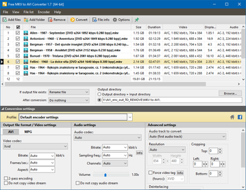 Free MKV to AVI Converter screenshot 3