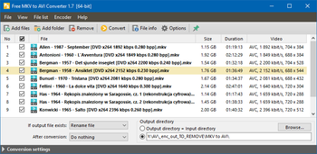 Free MKV to AVI Converter screenshot 4