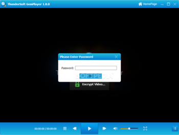 Free Video Password Protector screenshot 3