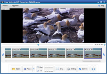 Free Video to GIF Converter screenshot 4