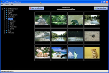 Free Wallpapers Slideshow screenshot