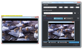 Free Webcam Capture screenshot