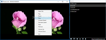Free Xvid Player screenshot 2