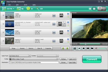 Free YouTube Converter screenshot