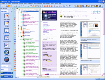 FreeWIT screenshot