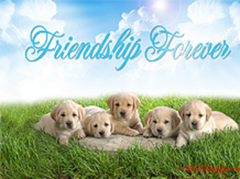 Friendship Inspiration Screensaver screenshot