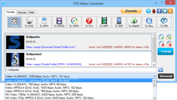 FSS Video Converter screenshot