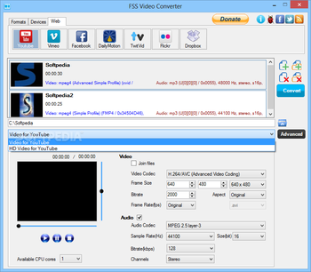 FSS Video Converter screenshot 3