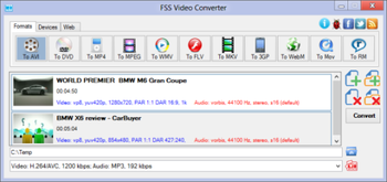 FSS Video Converter screenshot