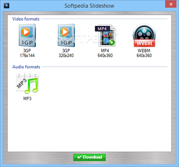 FSS Video Downloader screenshot 2