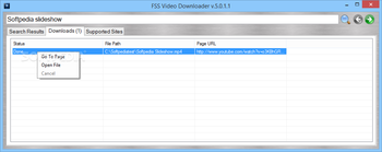 FSS Video Downloader screenshot 3