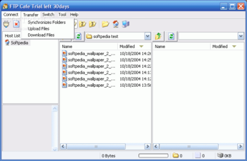 FTP Cafe screenshot 2