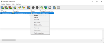 FTPGetter Professional screenshot