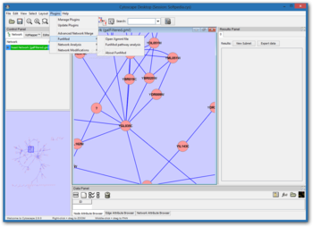 FunMod Network Analysis for Cytoscape screenshot