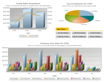 FusionCharts screenshot 3