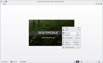 Gadwin PrintScreen screenshot