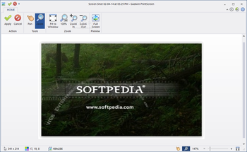 Gadwin PrintScreen screenshot 2