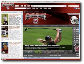 Gamecocks Firefox Browser Theme screenshot 2