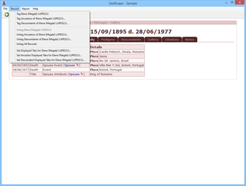 GedScape screenshot 10