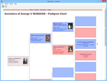 GedScape screenshot 2