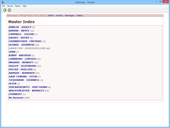 GedScape screenshot 3