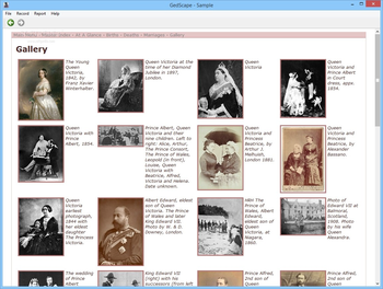 GedScape screenshot 8