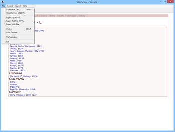 GedScape screenshot 9