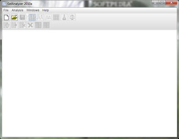 GelAnalyzer screenshot