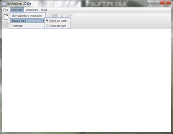 GelAnalyzer screenshot 2