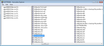 Gemulator Explorer screenshot