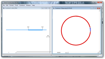 Gene Construction Kit screenshot