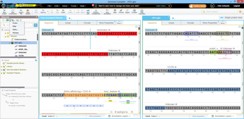 Genome Compiler screenshot 3