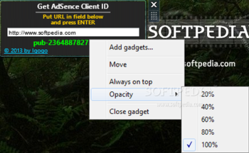 Get AdSense Client ID screenshot 2