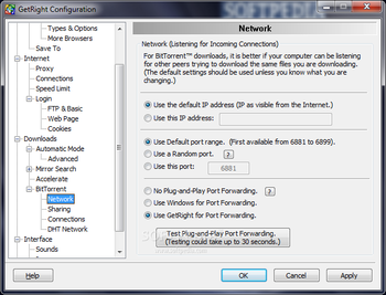GetRight screenshot 21