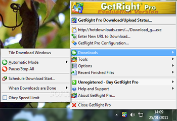 GetRight Pro screenshot