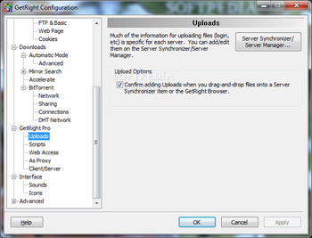 GetRight Pro screenshot 21
