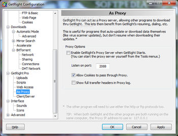 GetRight Pro screenshot 27