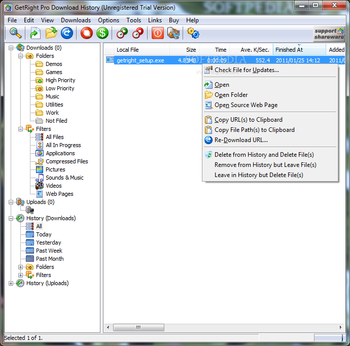 GetRight Pro screenshot 3