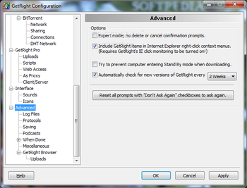 GetRight Pro screenshot 31